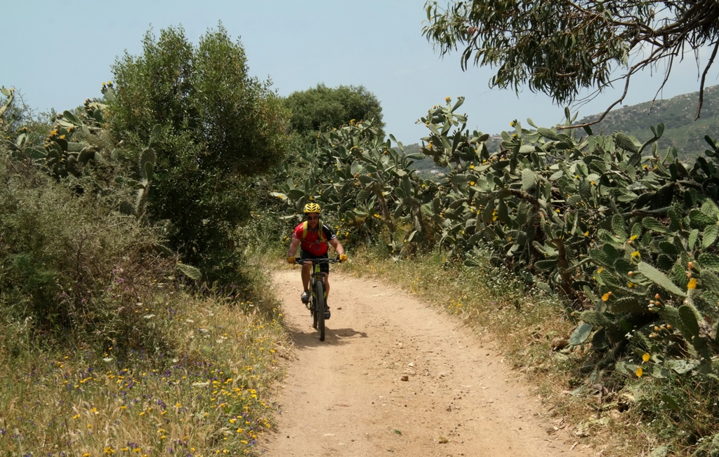 Tom Kunath from North Carolina USA