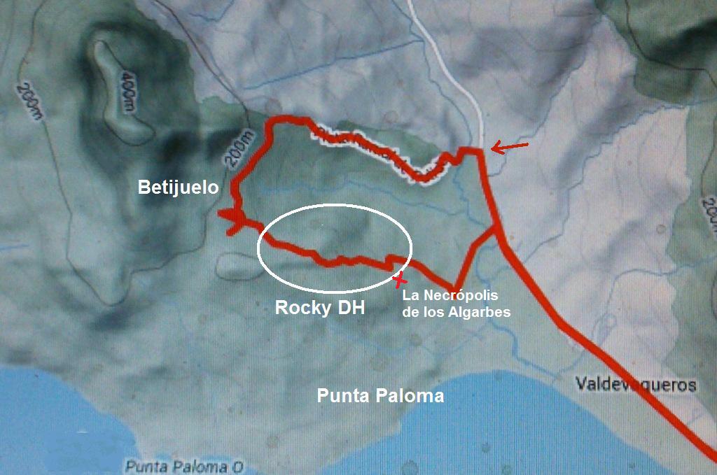 Betijuelo en Punta Paloma.