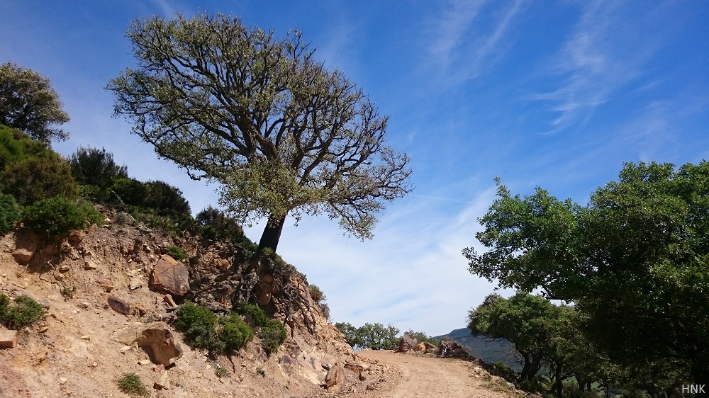 Part of the Gr 7 Cycling and Walking path