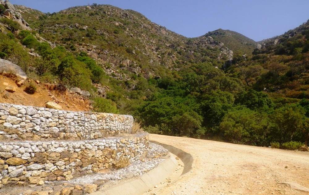 Pure mountain biking