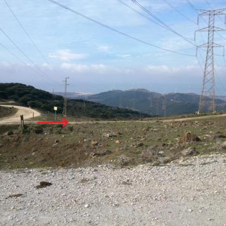 Technical rocky trail, pure mtb.