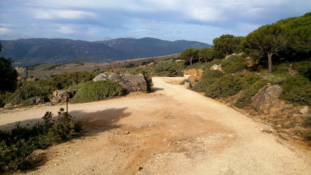 Unspoilt Rough Nature