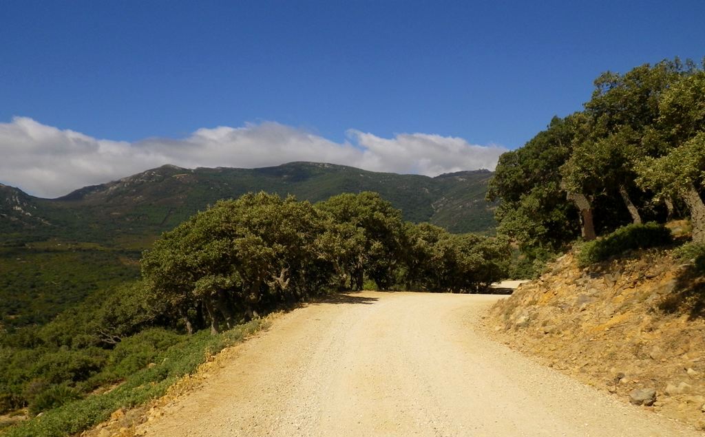 Well maintained trails