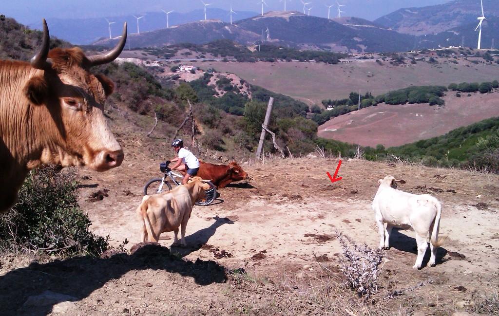 The areas where we bike are full with all kind of dirt
