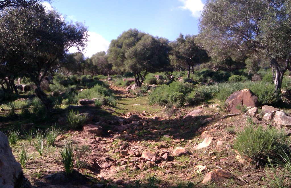 Ride Where The Locals Ride