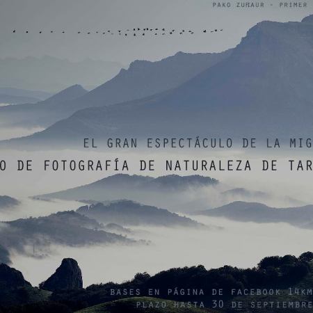 Photography Concourse The Migration Extravaganza