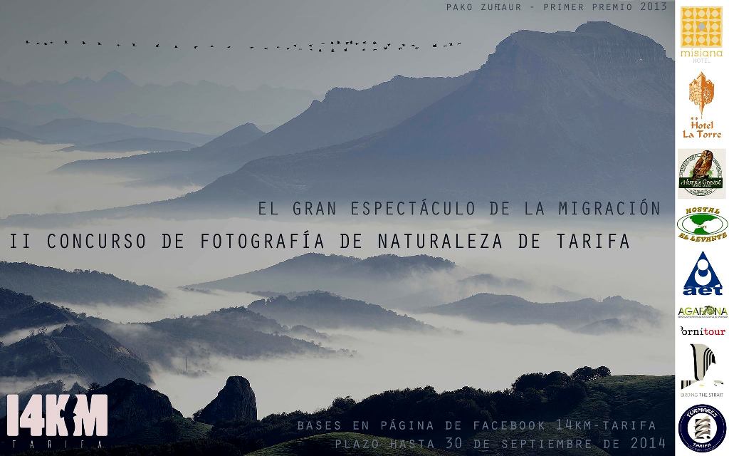 Photography Concourse The Migration Extravaganza