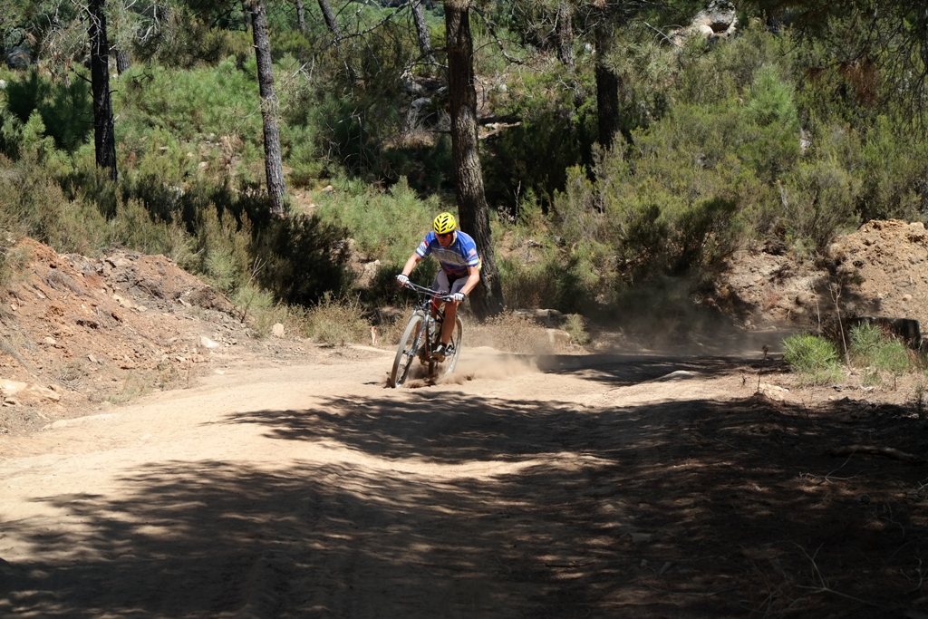 Montecoche en Los Barrios, Campo de Gibraltar