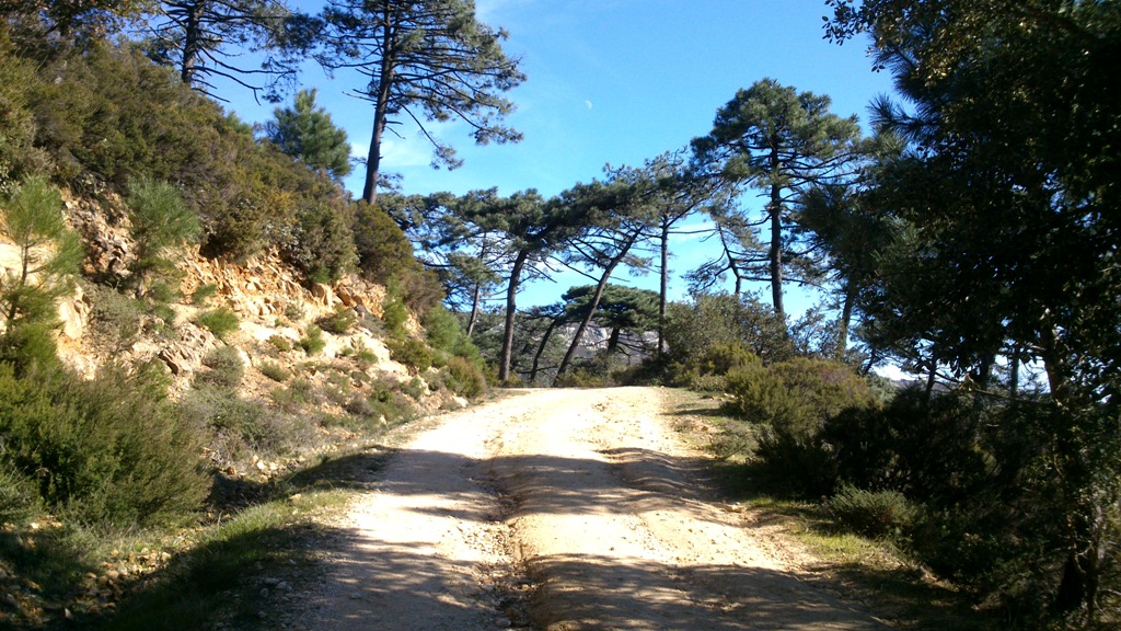 Great trails to challenge