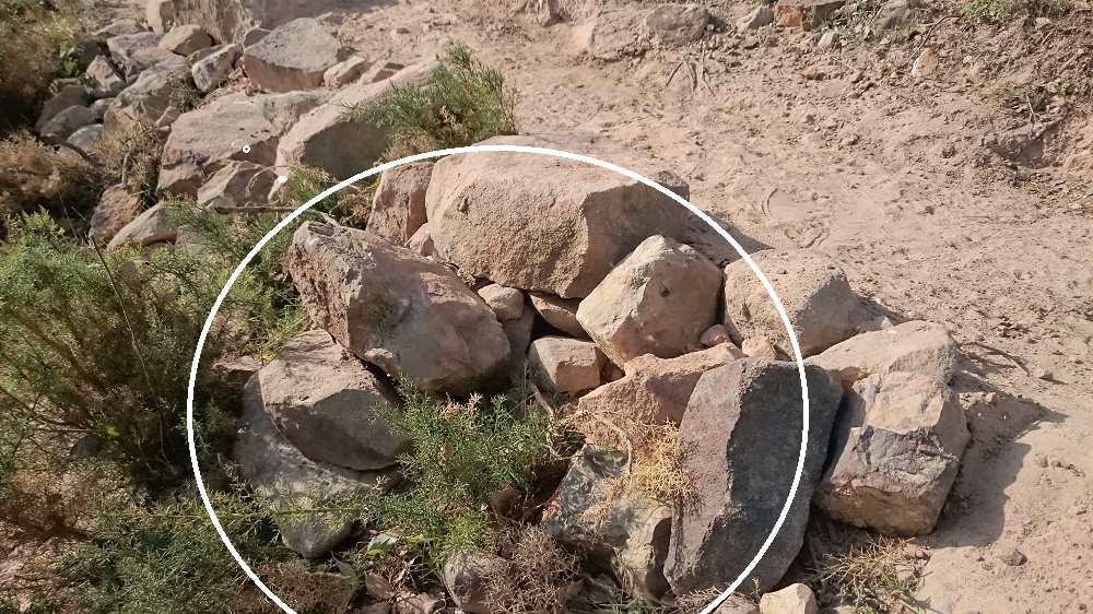 trailbuilding reinforcement.JPG