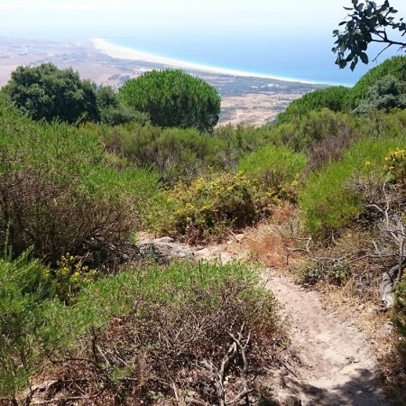 Downhill Sancho La Peña Zone