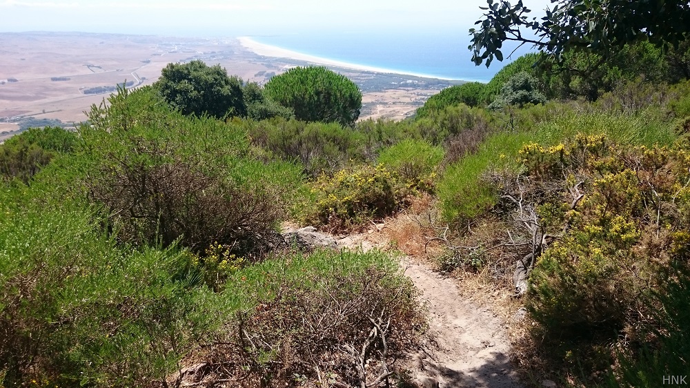 Downhill Sancho La Peña Zone
