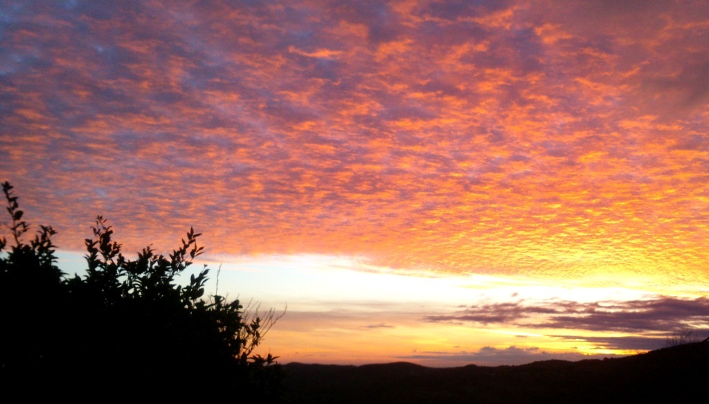 Every day is different