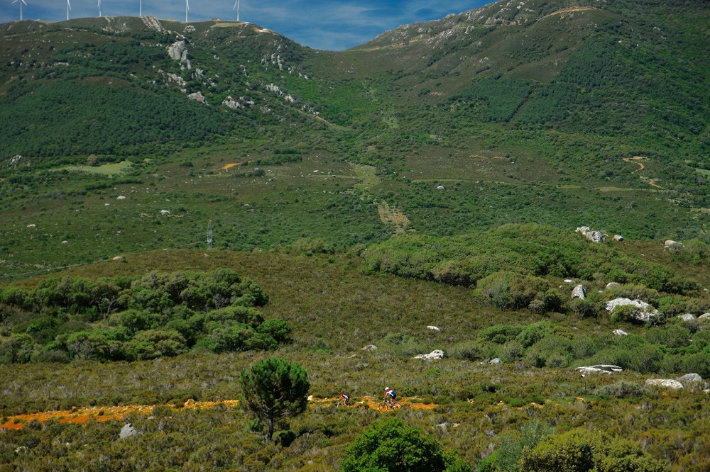 Downhill Saladavieja