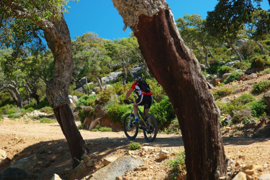 Salavieja in Natural Park Los Alcornocales (Cork Woods)