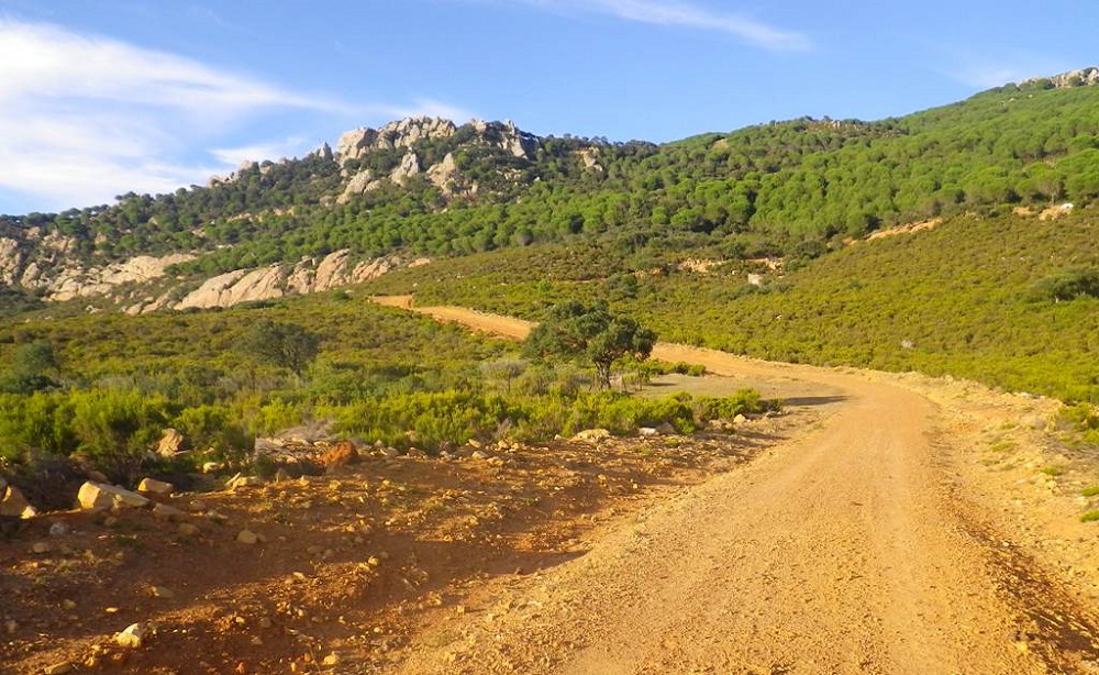Sierra de Saladavieja Tarifa