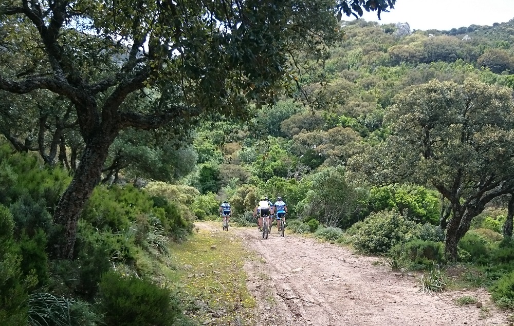 Vegetation Saladavieja